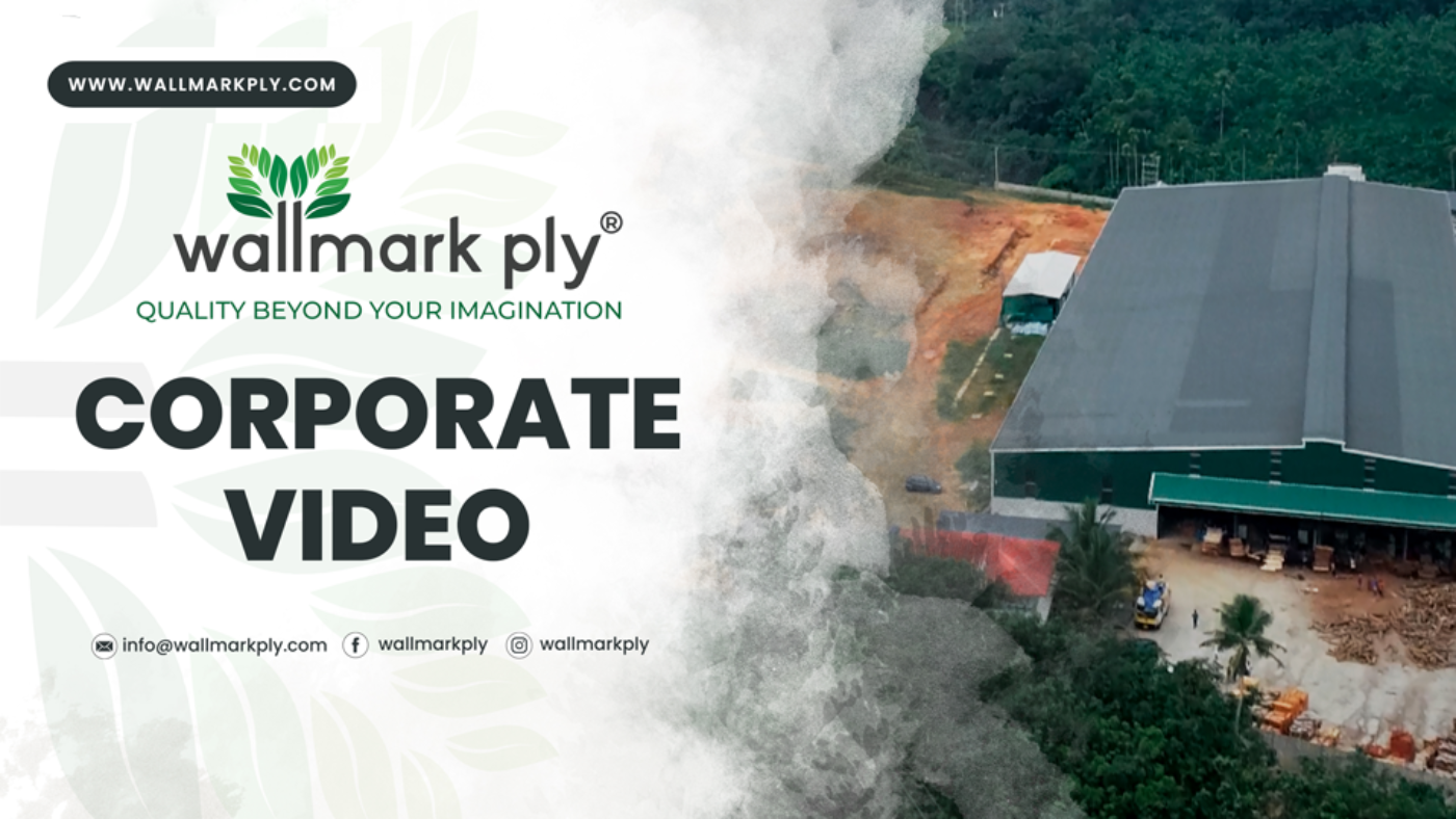 Discover Wallmark Ply: Our Story in Motion